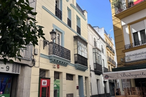 Rey de Sevilla Flats