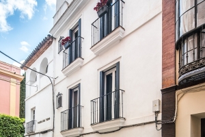 REY DE SEVILLA FLATS - DUPLEX MUSEO