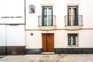 REY DE SEVILLA FLATS - DUPLEX MUSEO