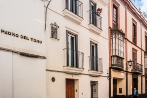 REY DE SEVILLA FLATS - DUPLEX MUSEO